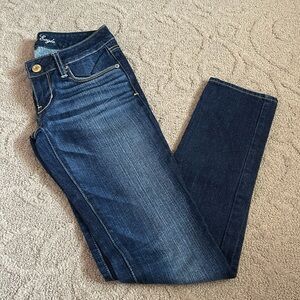 American Eagle | Skinny Jeans